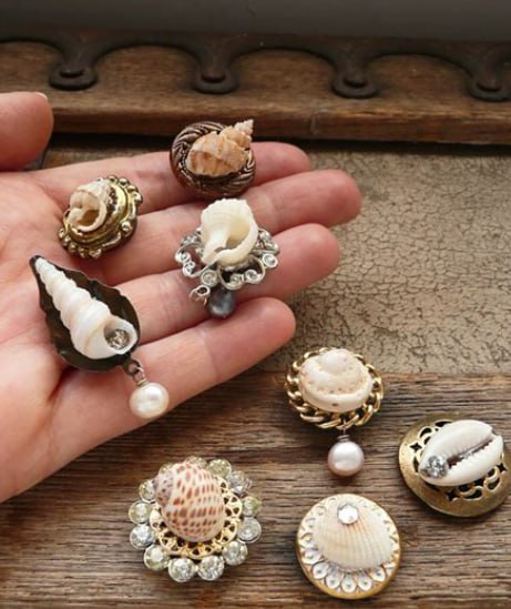 Shell Jewelry Series 1