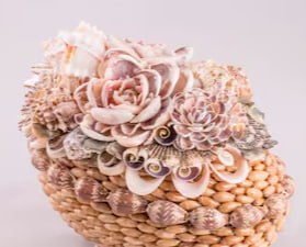 Seashell Decoration Series 10